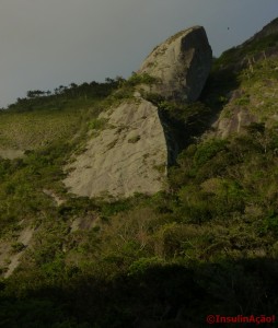 Agulha Guarisch - Parque Estadual da Serra da Tiririca